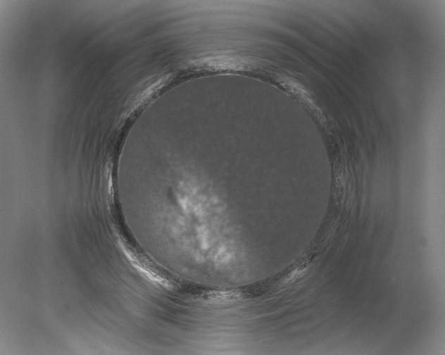 X0000080730398200701021126