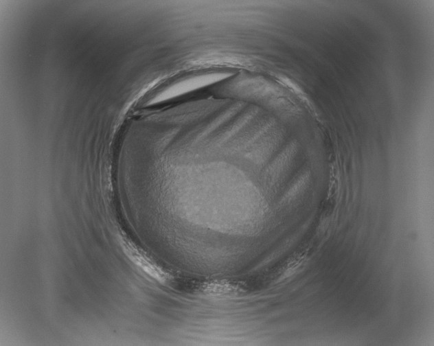 X0000080730399200701021126