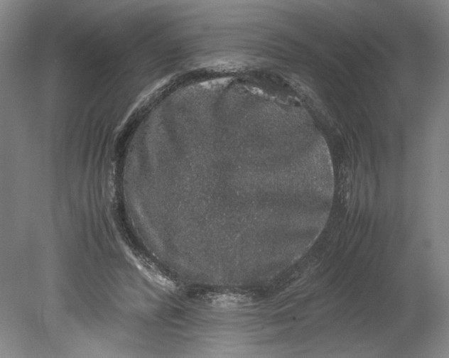 X0000080730400200701021126