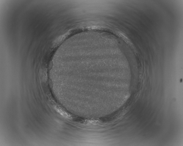 X0000080730401200701021126