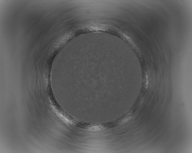 X0000080730402200701021126