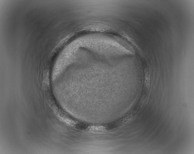 X0000080730403200701021126