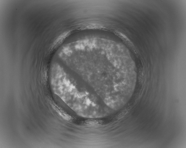 X0000080730405200701021125