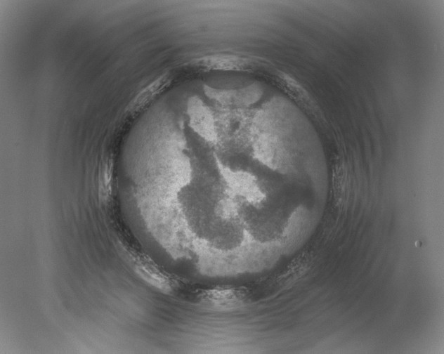 X0000080730406200701021125