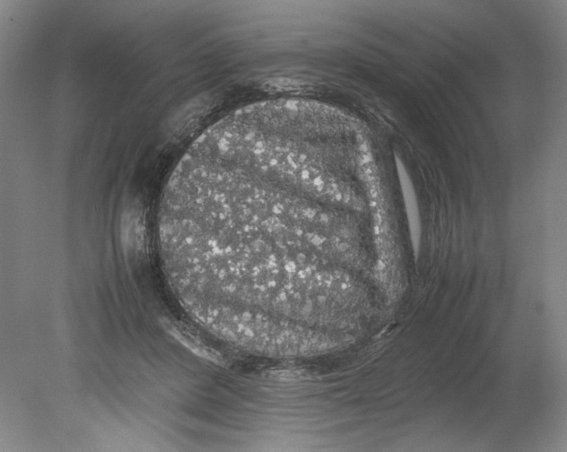 X0000080730408200701021125