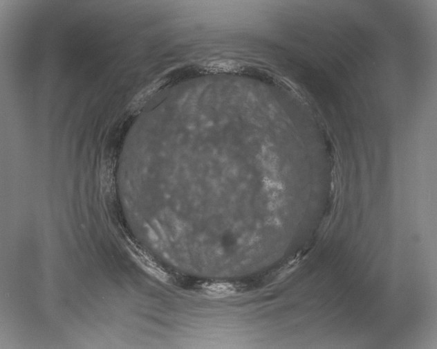 X0000080730409200701021125