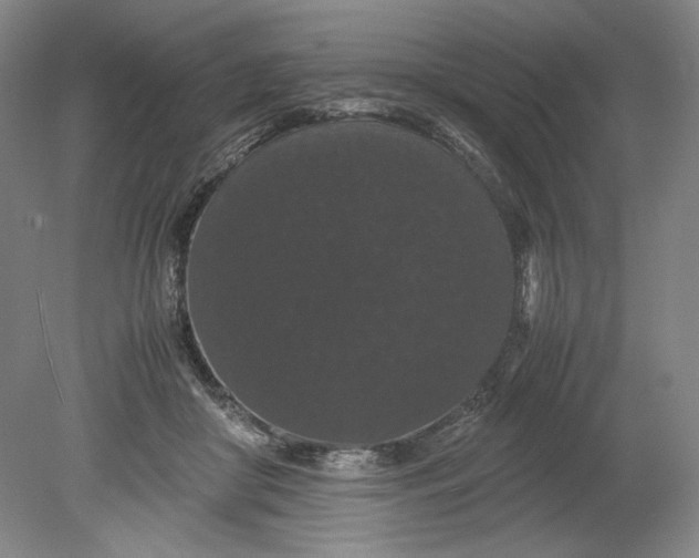 X0000080730410200701021125