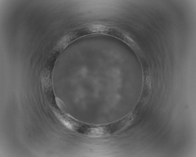 X0000080730411200701021125