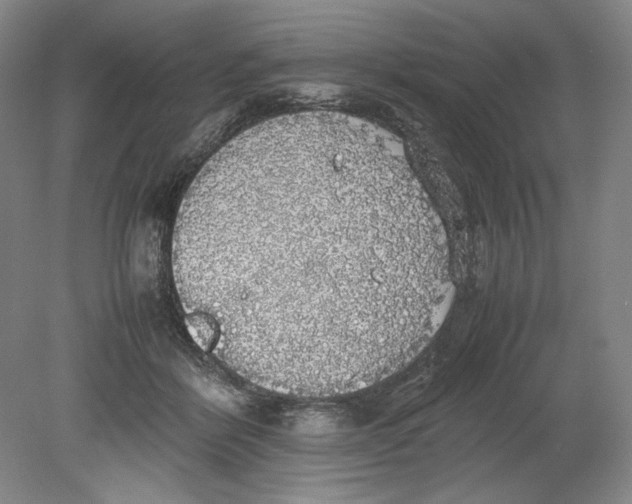 X0000080730412200701021125