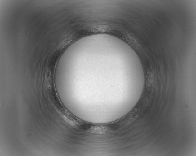 X0000080730414200701021125