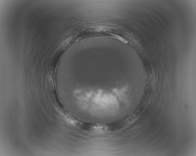 X0000080730415200701021125