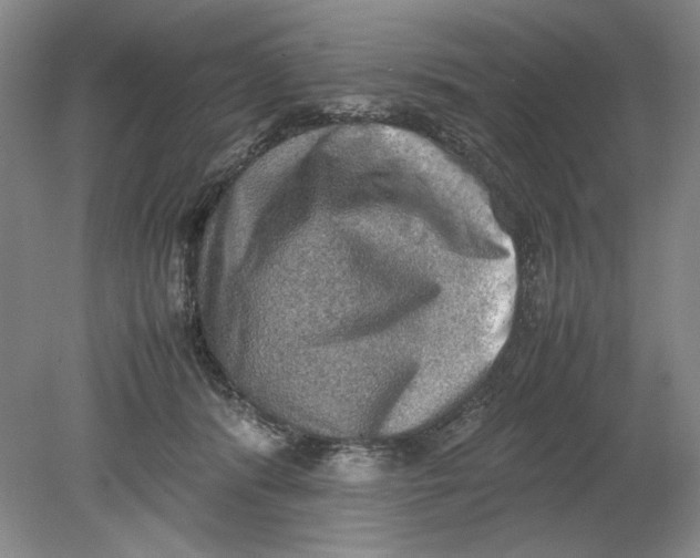 X0000080730416200701021125