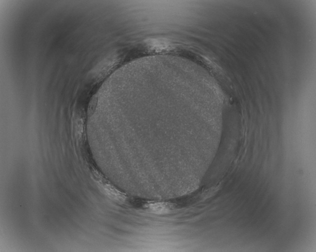 X0000080730417200701021125