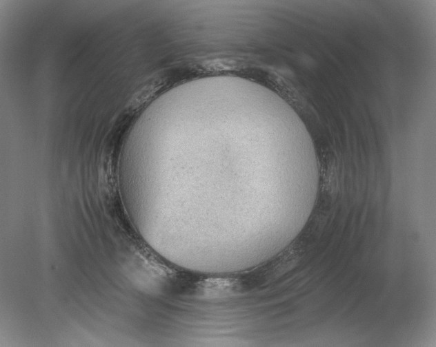 X0000080730418200701021125