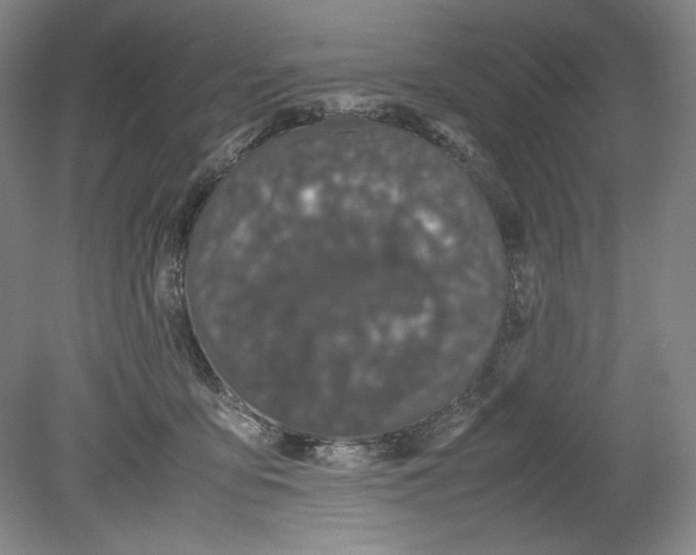 X0000080730419200701021125