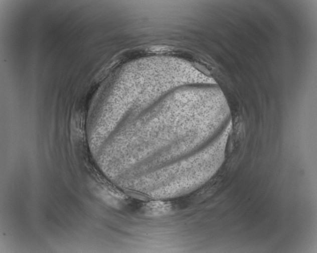 X0000080730421200701021125