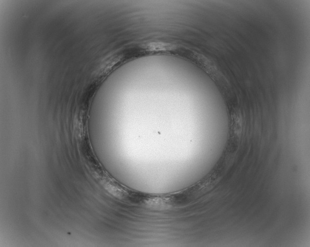 X0000080730422200701021125