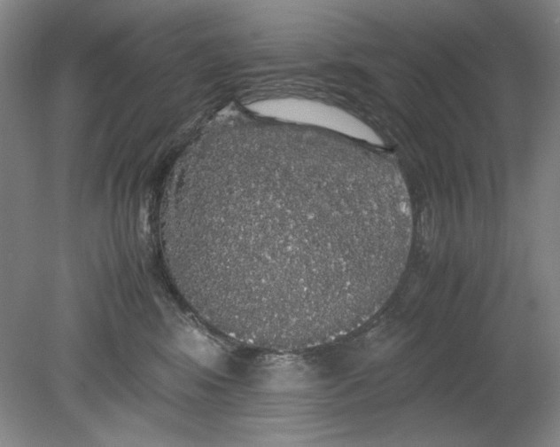 X0000080730424200701021125