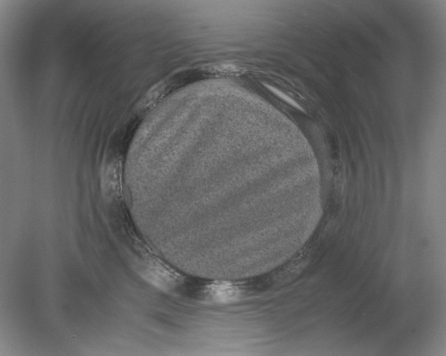 X0000080730425200701021125