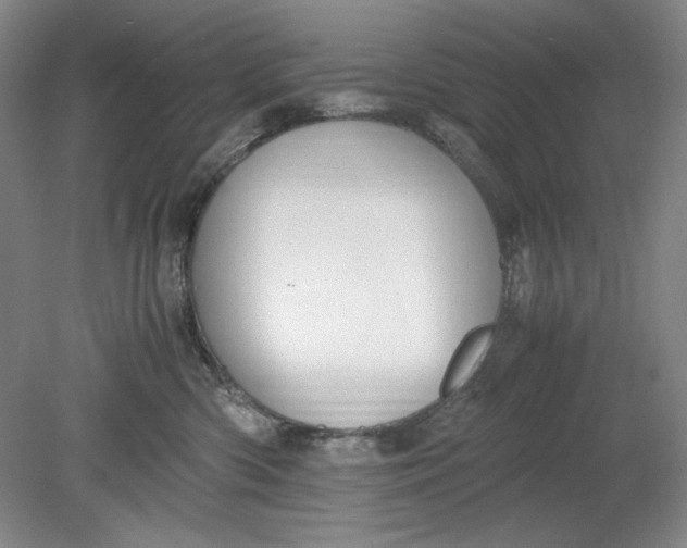 X0000080730426200701021125