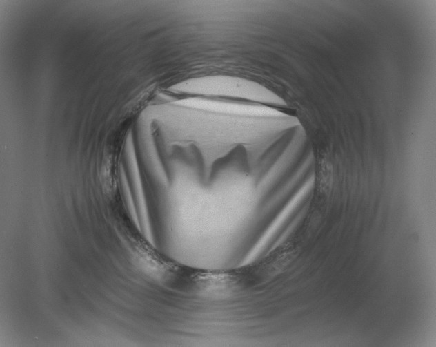 X0000080730428200701021125