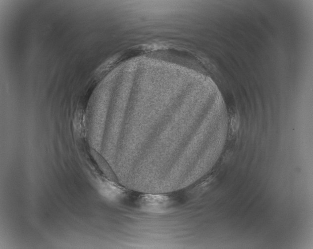 X0000080730429200701021125