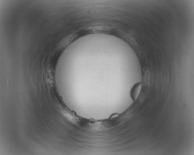 X0000080730430200701021125