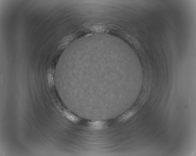 X0000080730432200701021125