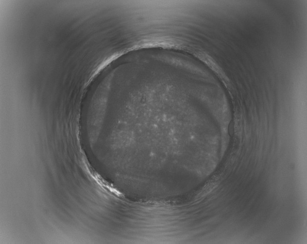 X0000080730434200701021124