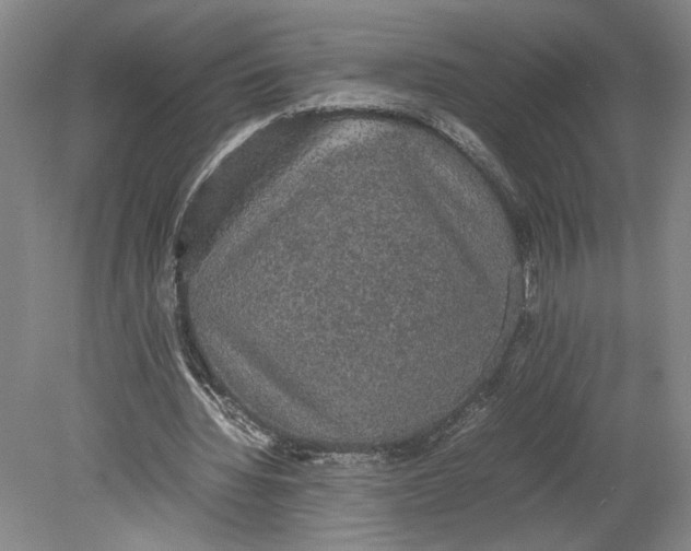 X0000080730436200701021124