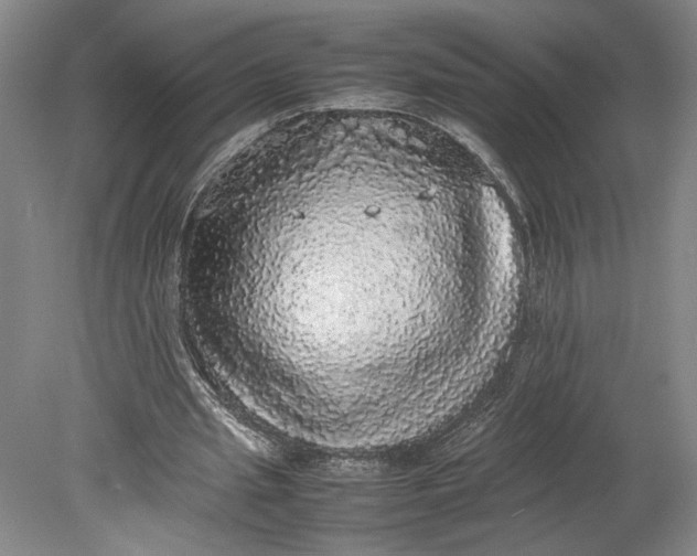 X0000080730437200701021124