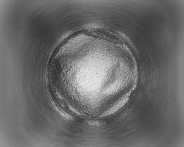 X0000080730439200701021124