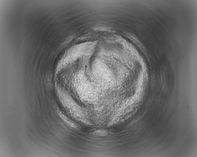 X0000080730441200701021124