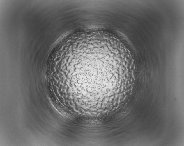 X0000080730443200701021124