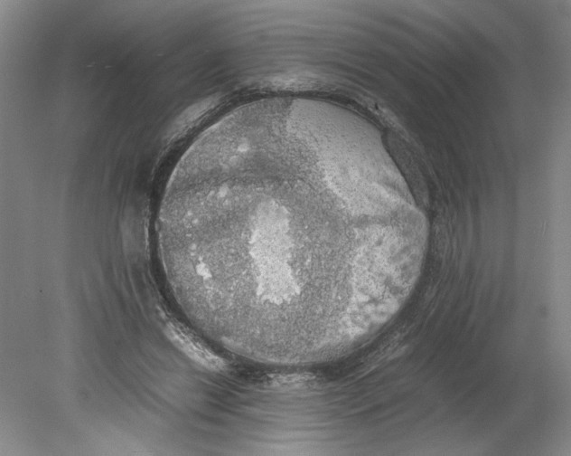 X0000080730446200701021124