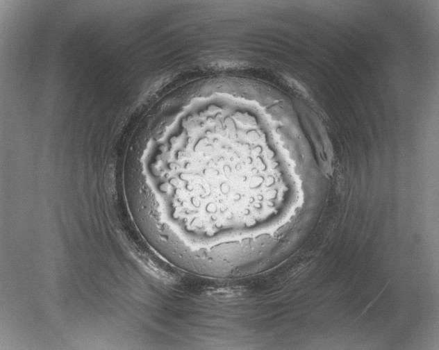 X0000080730447200701021124