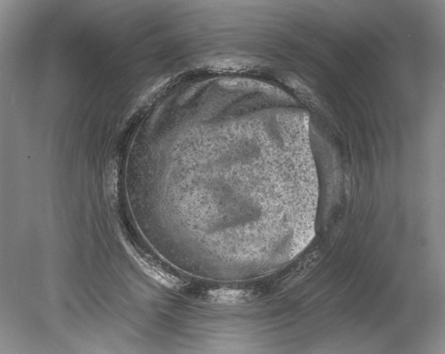 X0000080730448200701021124