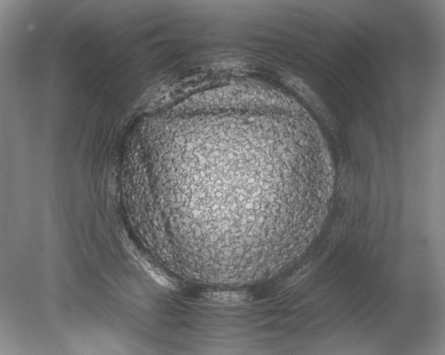 X0000080730449200701021124