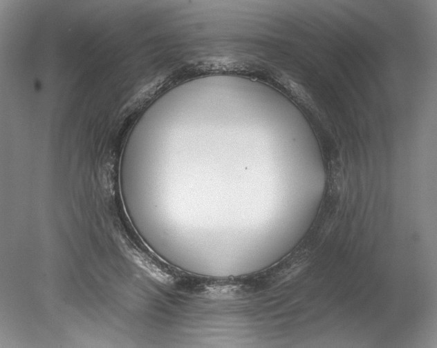 X0000080730450200701021124