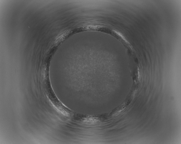 X0000080730451200701021124