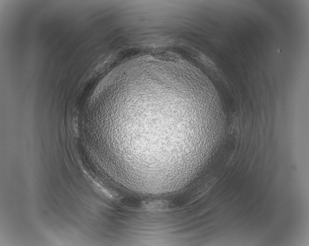 X0000080730452200701021124