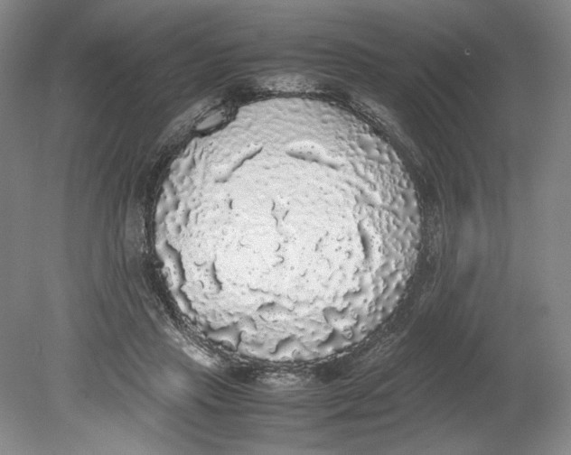 X0000080730453200701021124