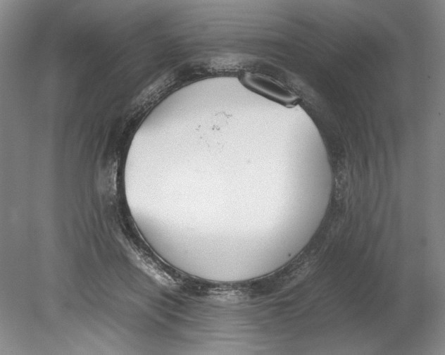 X0000080730454200701021124