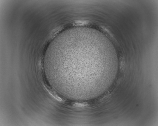 X0000080730455200701021124