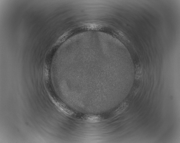 X0000080730456200701021124