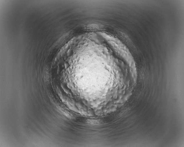 X0000080730457200701021124