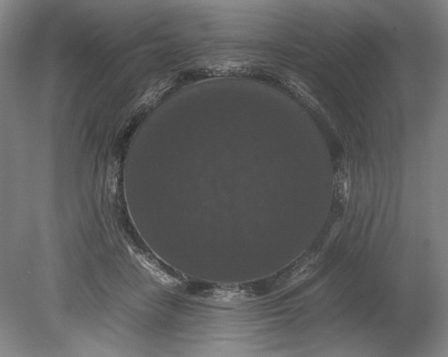 X0000080730458200701021124