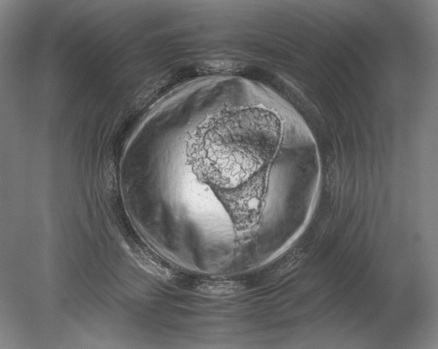 X0000080730459200701021124