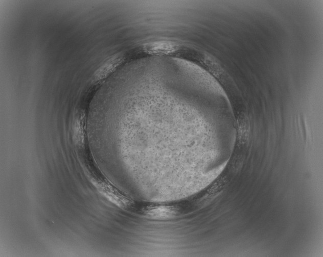 X0000080730460200701021124