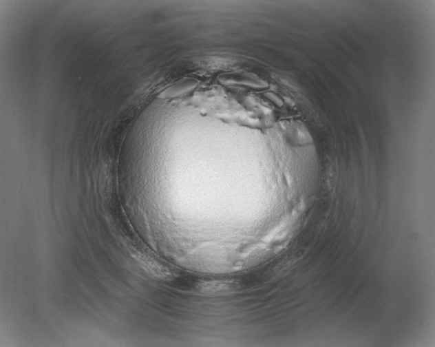 X0000080730461200701021124